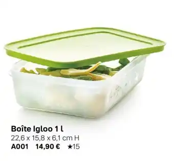 Boîte Igloo 1 L