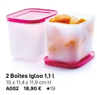 Tupperware 2 Boîtes Igloo 1,1 L offre