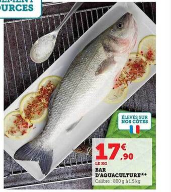 Hyper U Bar d'aquaculture offre