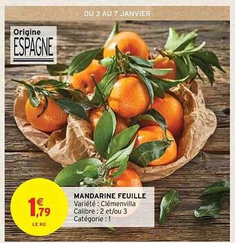 Intermarché Contact Mandarine feuille offre