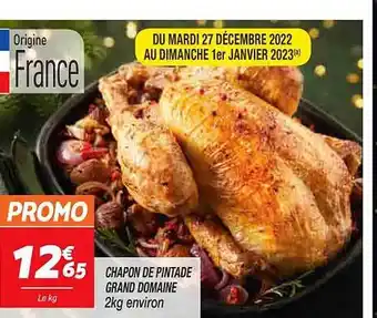 Netto Chapon de pintade grand domaine offre