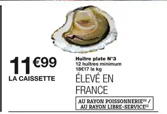 Huîtres plate n°3