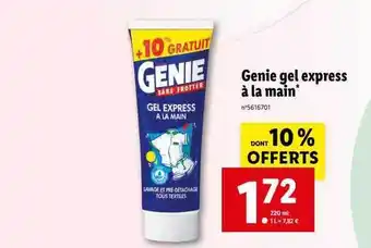 Genie gel express à la main