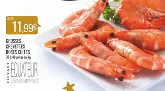 Match Grosses Crevettes Roses Cuites offre
