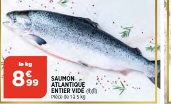 Bi1 Saumon Atlantique Entier Vide offre
