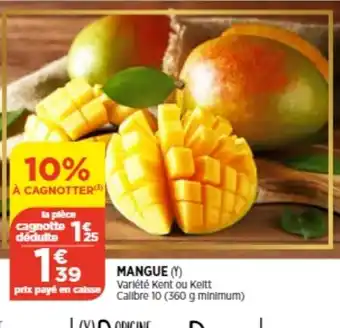 Mangue