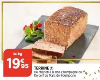 Bi1 Terrine offre