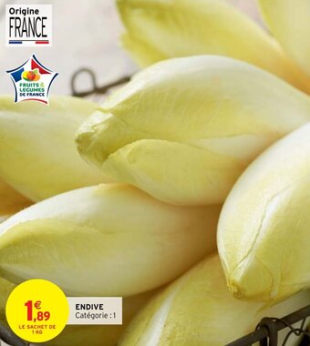Endive