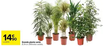 Carrefour Grande Plante Verte offre