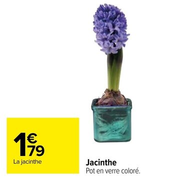 Carrefour Jacinthe offre
