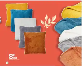 Carrefour Plaid offre