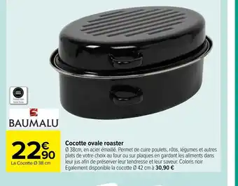 Carrefour Cocotte Ovale Roaster offre