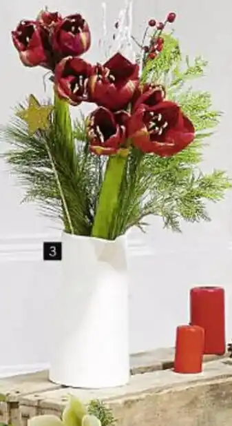 Casino Supermarchés Bouquet 2 Amaryllis +Feuillages offre