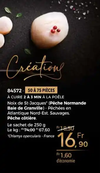 Noic de saint-jacques sans corail