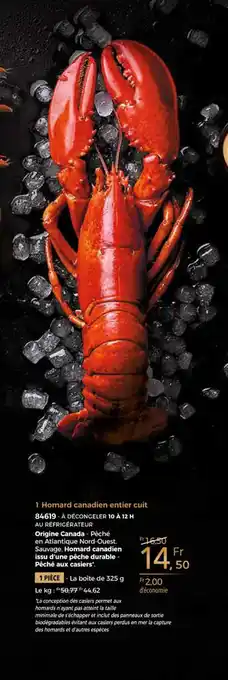 1 homard canadien entier cuit