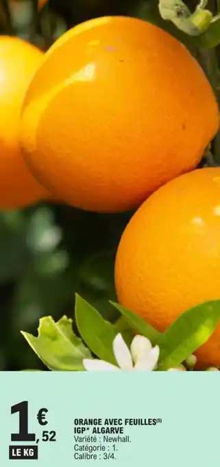 E.Leclerc Orange avec feuilles igp algarve offre
