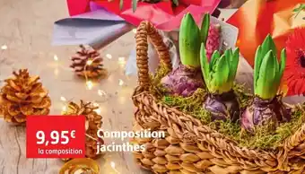 Colruyt Composition jacinthes offre