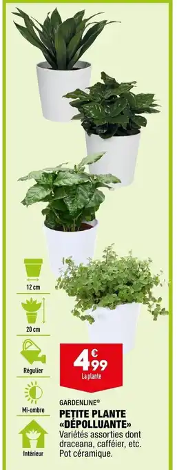 ALDI Petite Plante Dépolluante offre