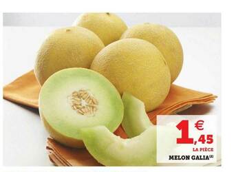 U Express Melon Galia offre