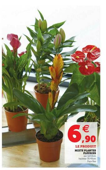 U Express Mixte Plantes Fleuries offre