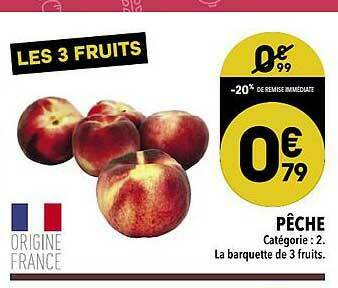 Pêche
