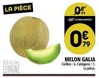 Supeco Melon Galia offre