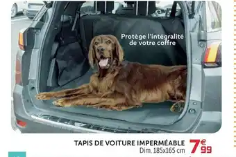 Gifi Tapis de voiture imperméable offre