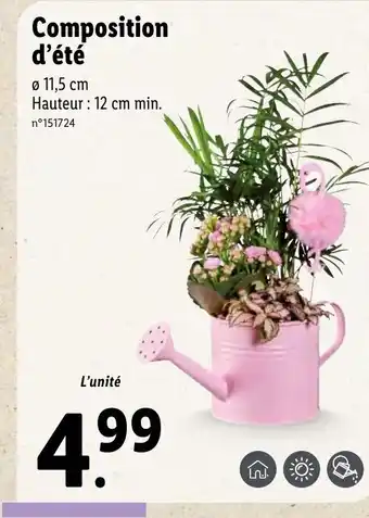 Lidl Composition d'été offre