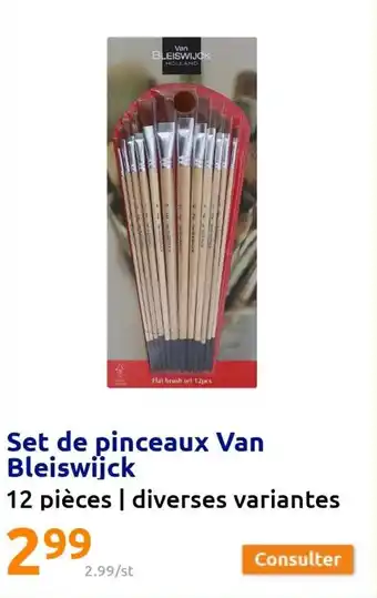 Action Set de pinceaux van bleiswijck offre