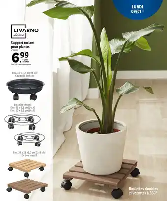 Lidl Support roulant pour plantes offre