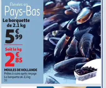 Auchan Supermarché Moules de Hollande offre