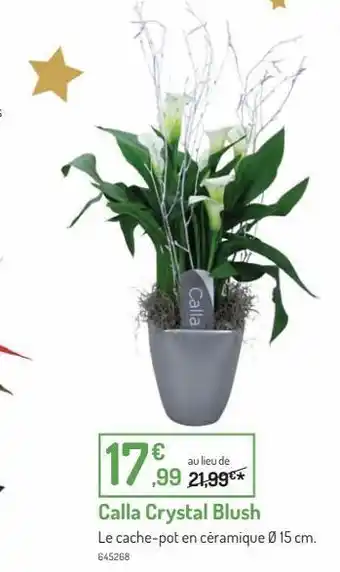 Botanic Calla crystal blush offre