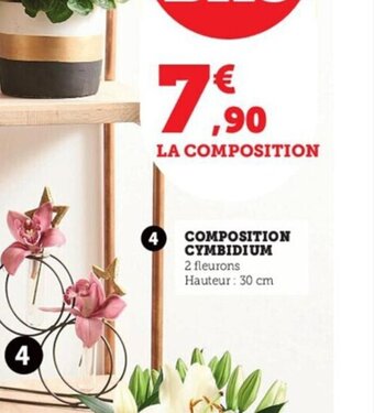 Super U Composition Cymbidium offre