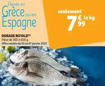 Auchan Dorade royale offre