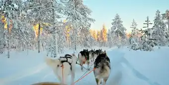 Finlande - hôtel club jumbo santa's tunturi 3*