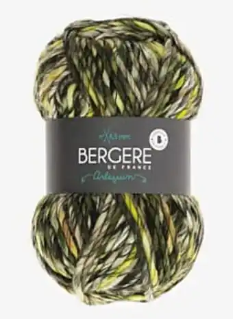 Arlequin savane