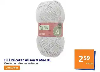 Action Fil à tricoter alison & mae xl offre