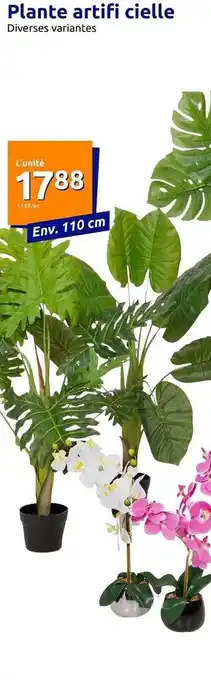 Action Plante artificielle offre