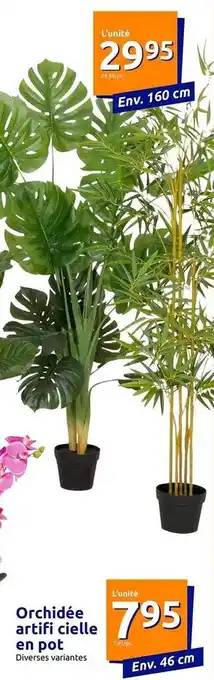 Action Orchidée artificielle en pot offre