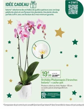 Botanic Orchidée phalaenopsis 2 branches botanic + cache-pot offre