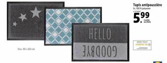Lidl Tapis antipoussière offre