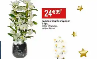 Cora x Carrefour Composition dendrobium offre