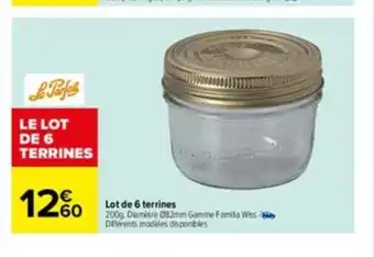Lot de 6 Terrines