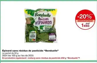 Épinard sans résidus de pesticide