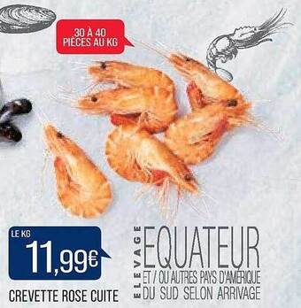 Match Crevette rose cuite offre