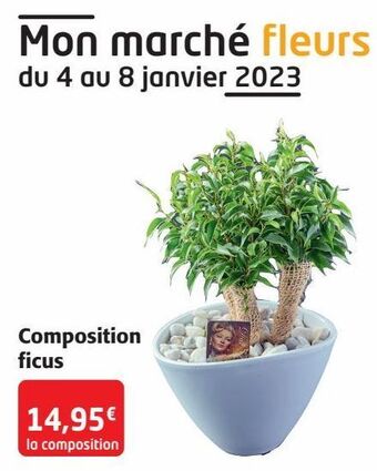 Composition ficus