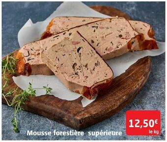 Mousse forestière supérieure