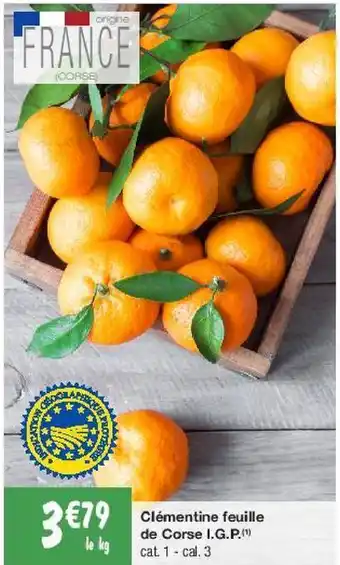 Clémentines feuille de corse igp