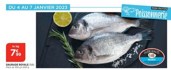 Bi1 Daurade royale offre