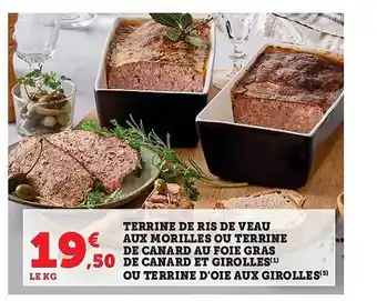 Hyper U Terrine de ris de veau aux morilles ou terrine de canard et girolles ou terrine d'oie aux girolles offre
